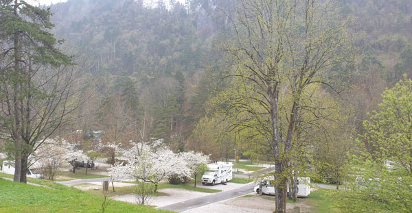 Camping Bled