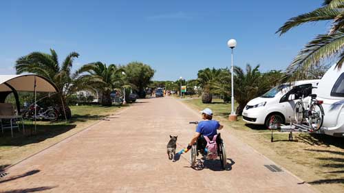 Campin El Delfin Verde