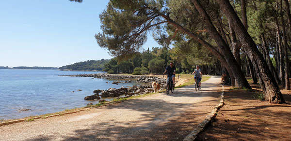 Cycleway