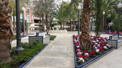 Elche Square