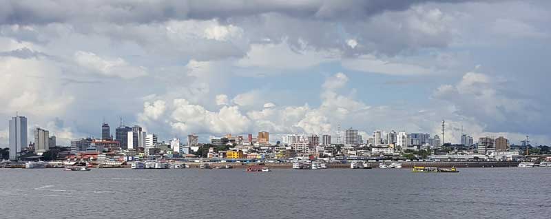Manus