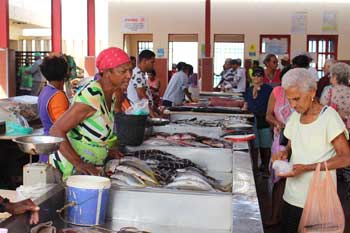 Fish Market