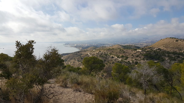 View