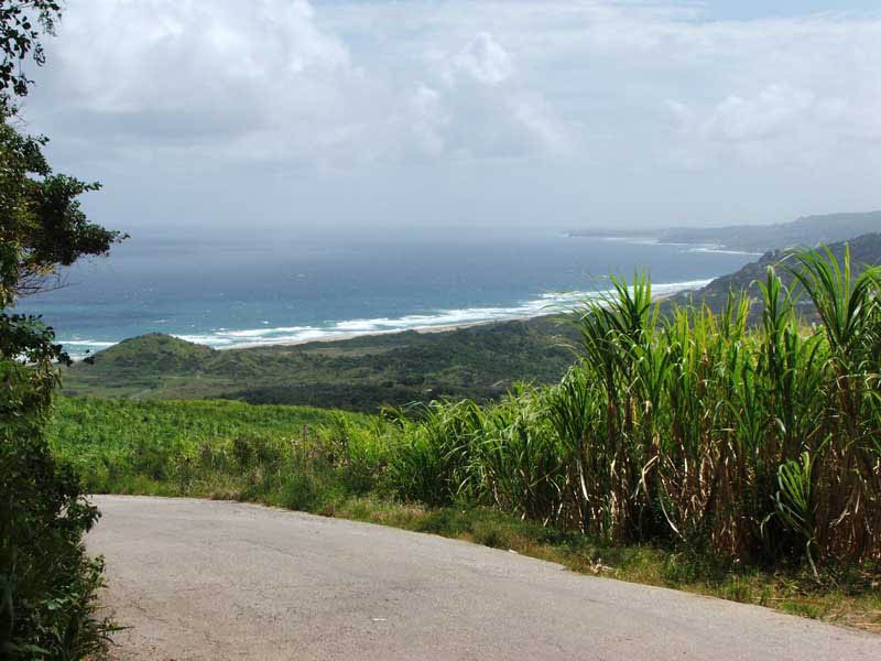 Barbados_27