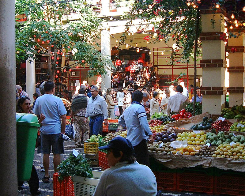 CanaryIsles_1_11