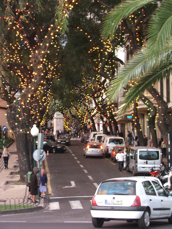 CanaryIsles_1_14