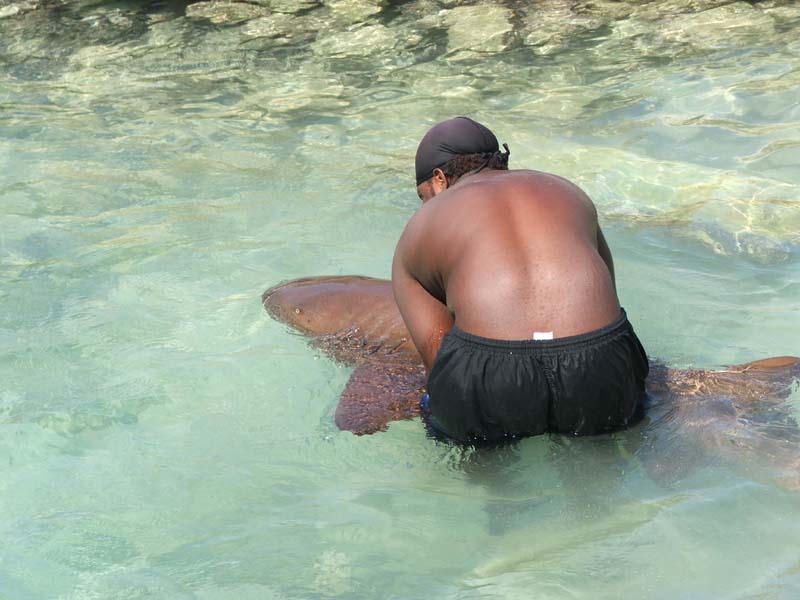 Jamaica_18