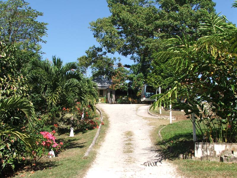 Jamaica_20