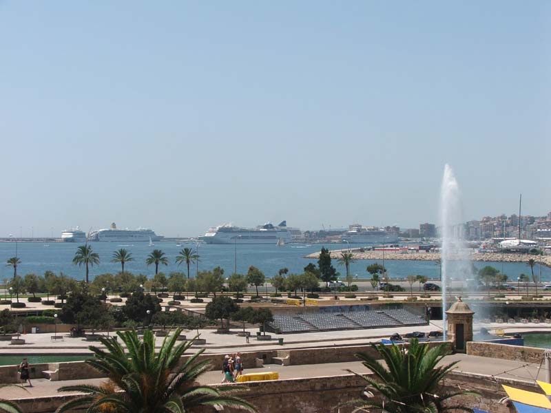 MedCruise_03