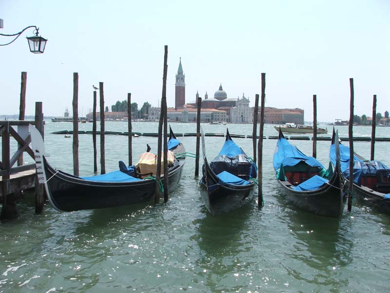 MedCruise_35