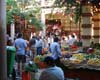 CanaryIsles_1_11