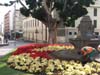 CanaryIsles_1_27