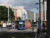 CanaryIsles_1_29