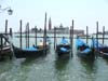 MedCruise_35