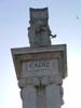 MedCruise_49